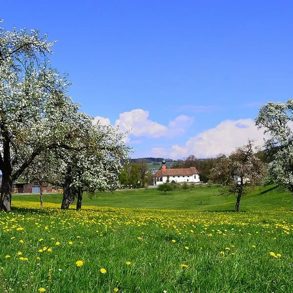 Curso de idiomas de primavera en Berna