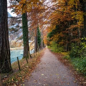 Autumn vacations language course in Bern